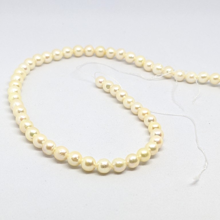 Beautiful Cream Akoya Pearl Loose String, 6-6.5mm, round-slightly baroque - Image 5