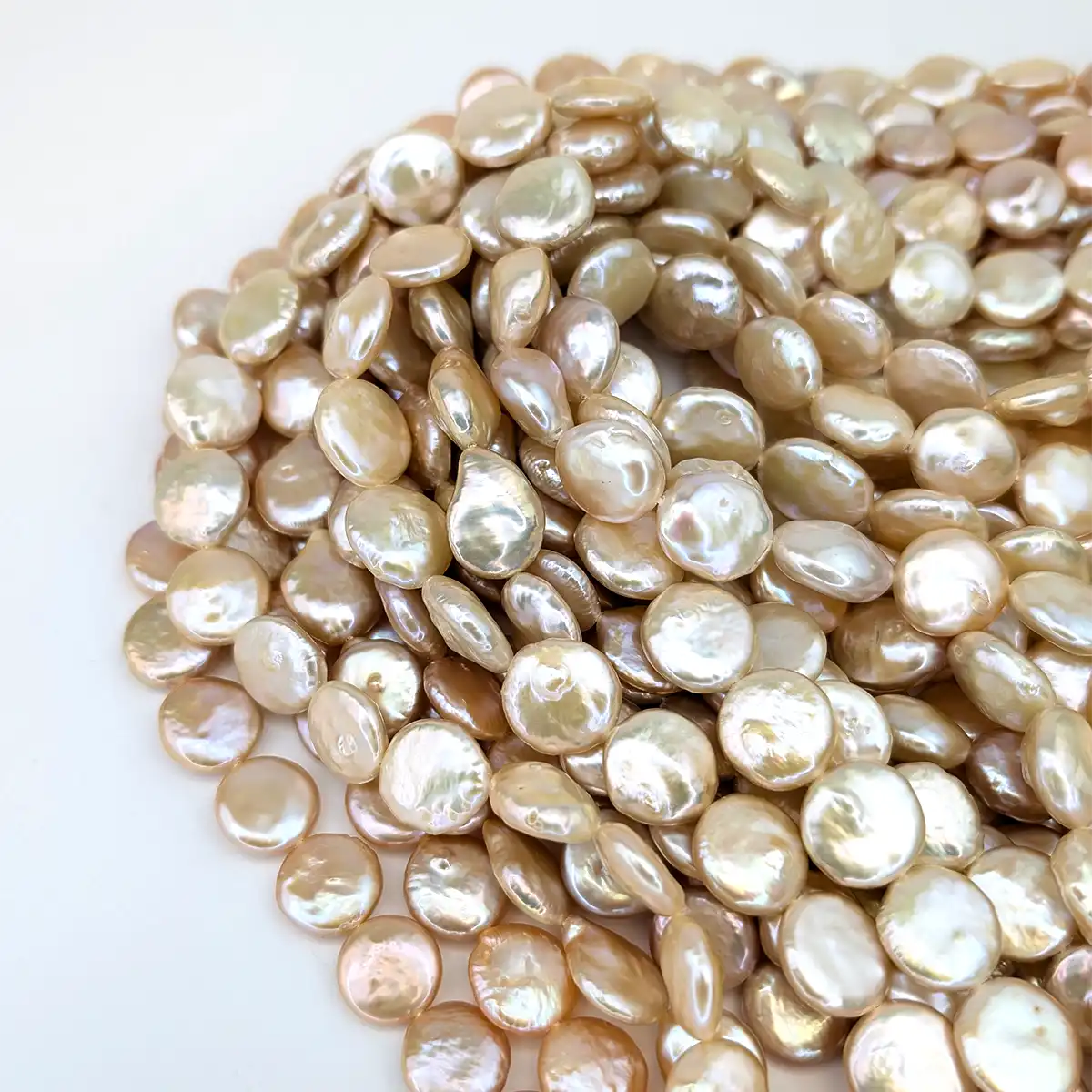 AA+ Grade Coin Pearls - Freshwater - Image 3